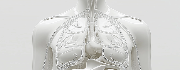Верхние дыхательные пути и грудная клетка